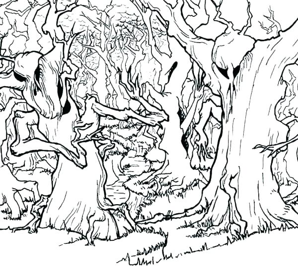 600x561 Forest Coloring Pages Printable Forest Coloring Pages Enchanted