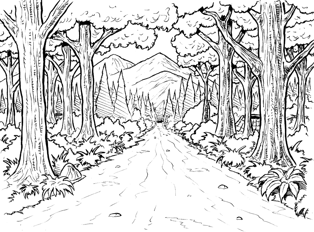 1008x744 Forest Coloring Pages Printable Forest Coloring Page Printable