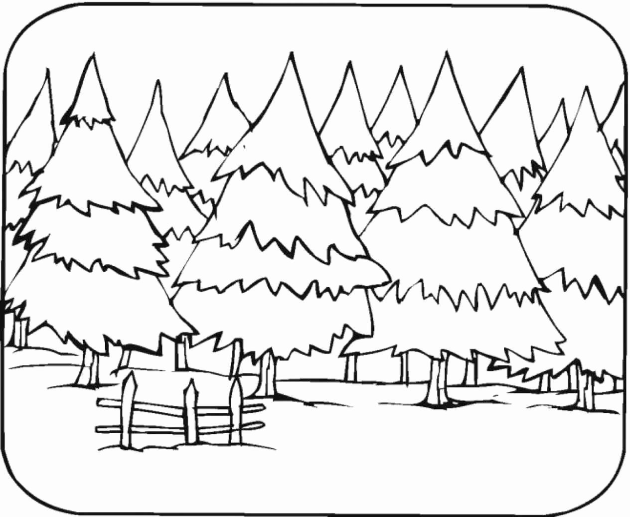 1264x1037 Forest Coloring Pages For Kids Lovely February Coloring Pages