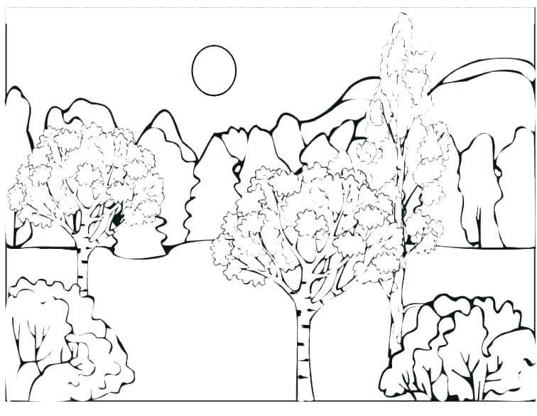 756x585 Enchanted Coloring Pages Forest Colouring Pages Coloring Pages
