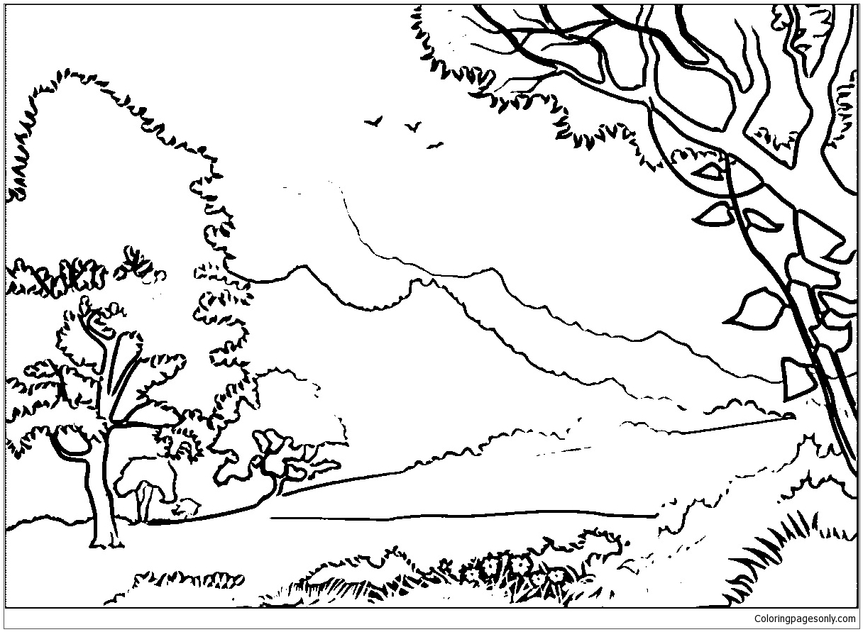 1216x891 Forest Coloring Page Printable Pages