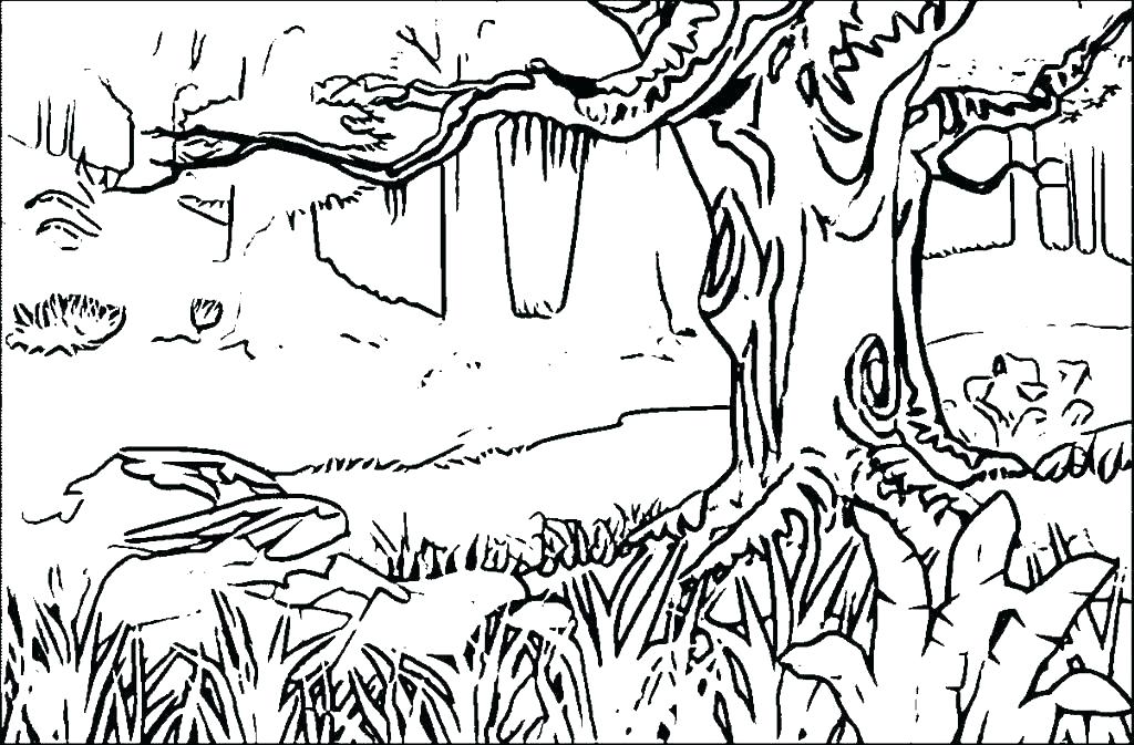 1024x673 Forest Coloring Pages To Print Forest Coloring Pages Printable