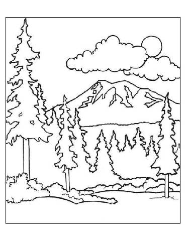 370x480 Free Printable Adult Coloring Pages Forest Page For Throughout