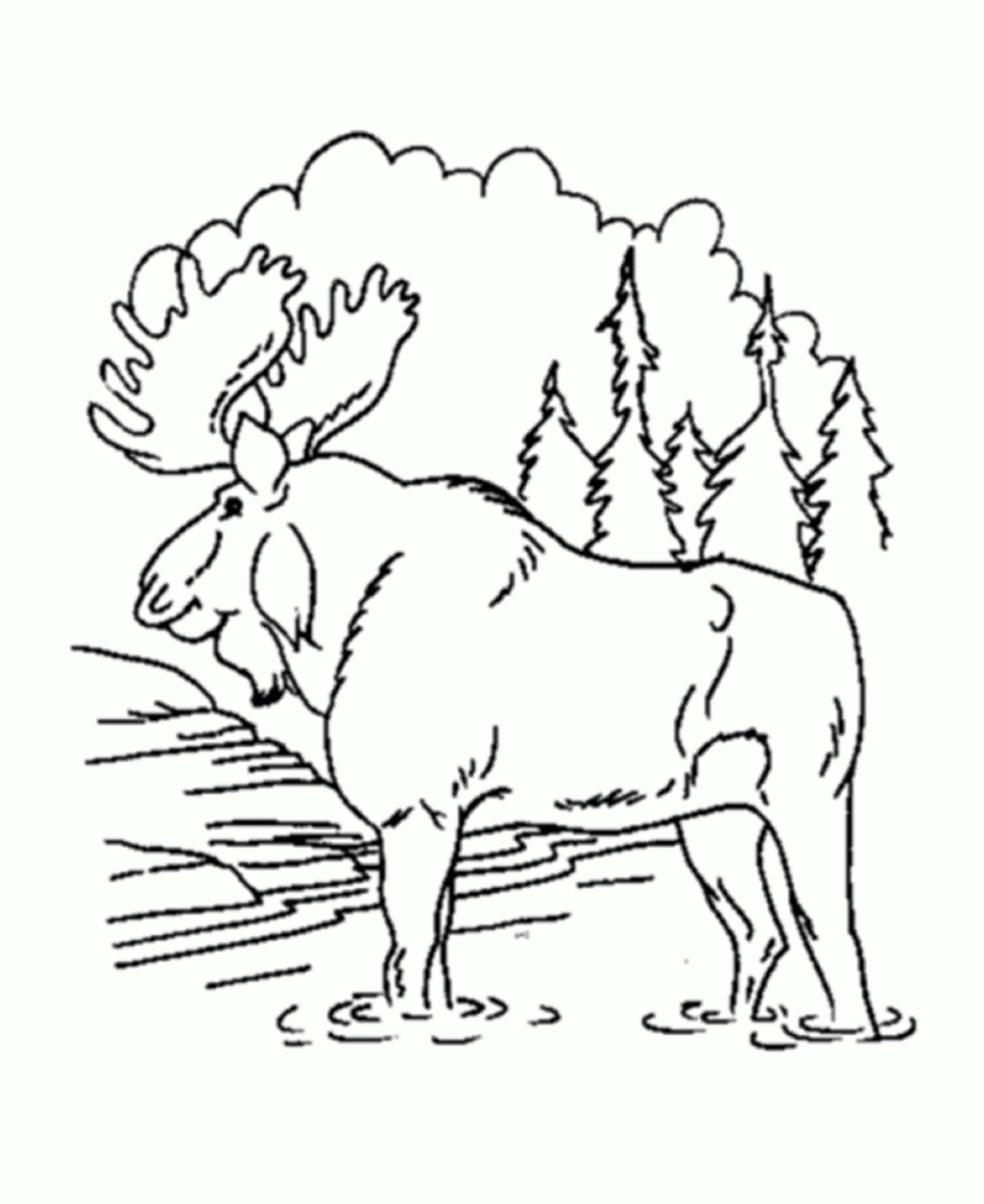 1025x1254 Coloring Forest Coloring Pages