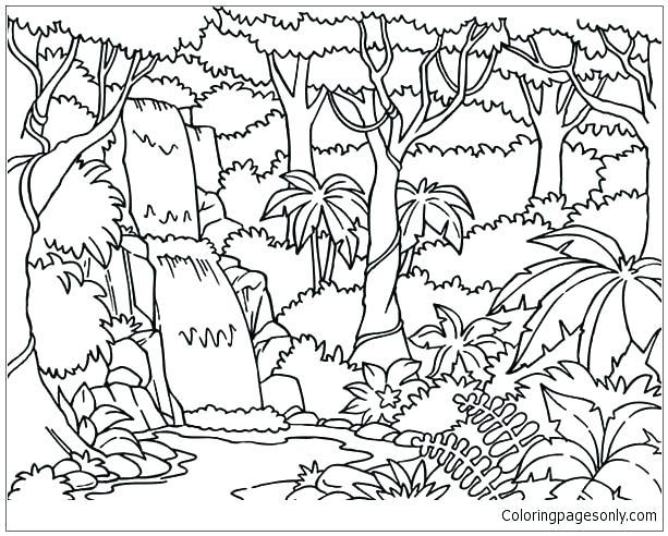 613x492 Forest Coloring Page Animal Habitat Coloring Pages Hard Forest