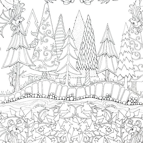 600x600 Forest Coloring Pages Forest Coloring Pages Forest Habitat