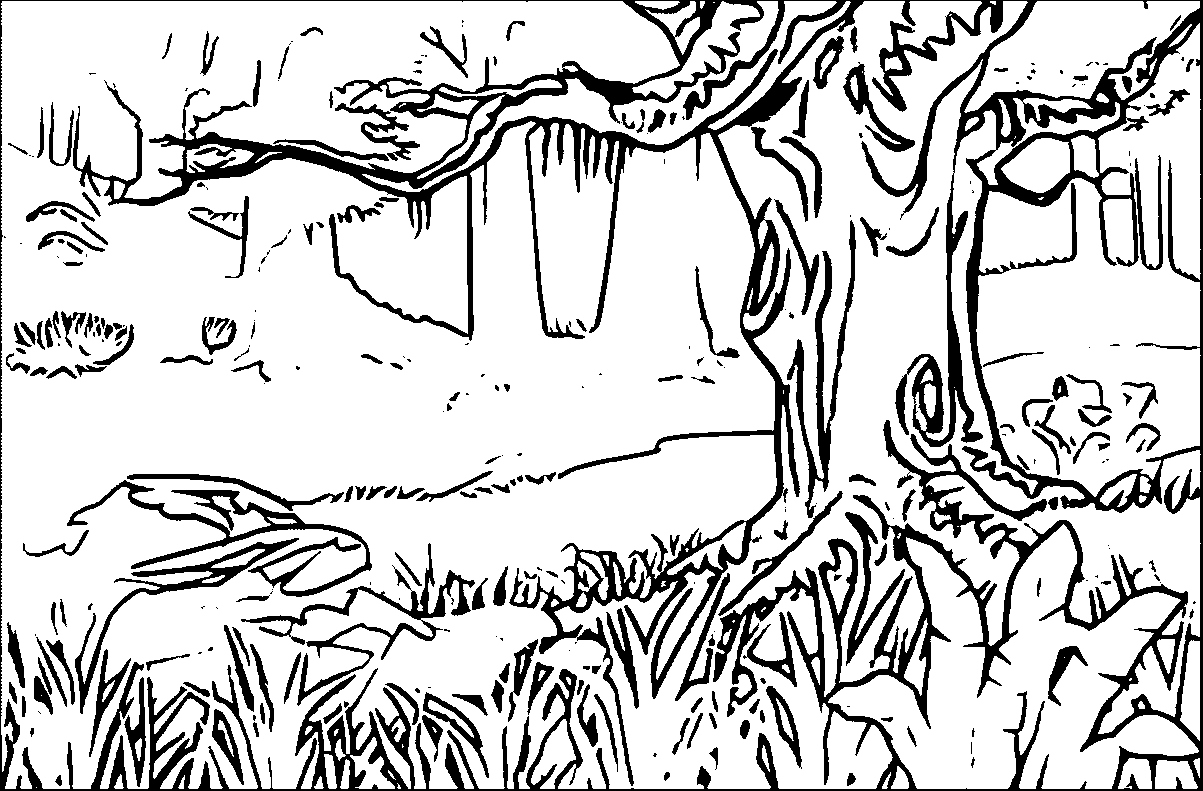 1203x791 Rainforest Coloring Pages Awesome Coloring Pages Forest Coloring