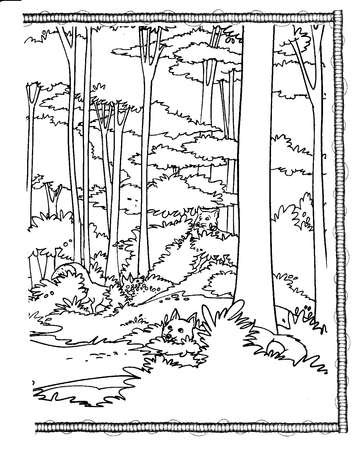 1250x1610 Coloring, Book Coloring, Habitat, Tall Trees Visual Arts