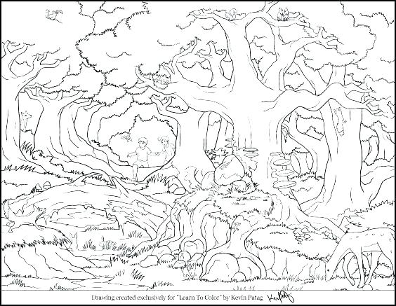 564x437 Animal Habitat Coloring Pages Ocean Habitat Coloring Pages Animal