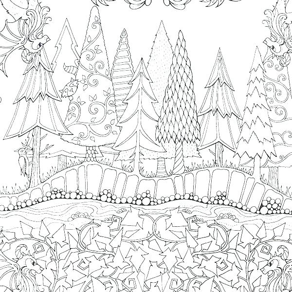 600x600 Forest Colouring Pages Forest Trees Coloring Pages