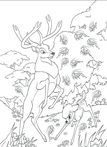 350x480 Roe And In The Forest Coloring Page Free Printable Free Coloring