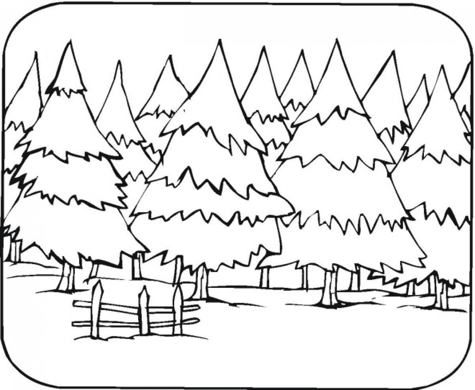 1600x1313 Forest Coloring Pages Robertomattnico Forest Coloring Pages Online