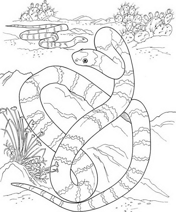 563x681 Chinese New Year Snake Coloring Pages