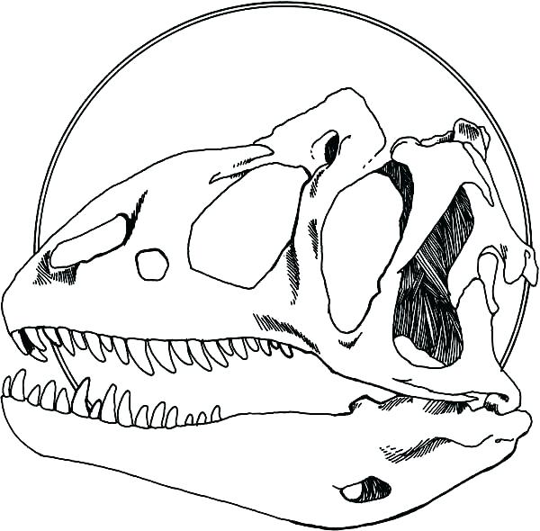 600x590 Fossil Coloring Pages Fossil Coloring Pages Dinosaur Dinosaur