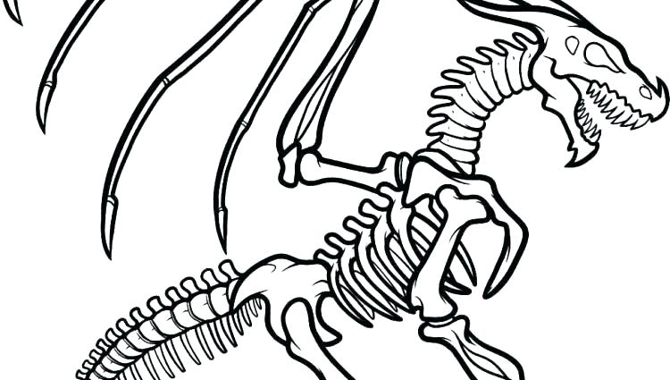 Fossil Coloring Pages at GetDrawings | Free download