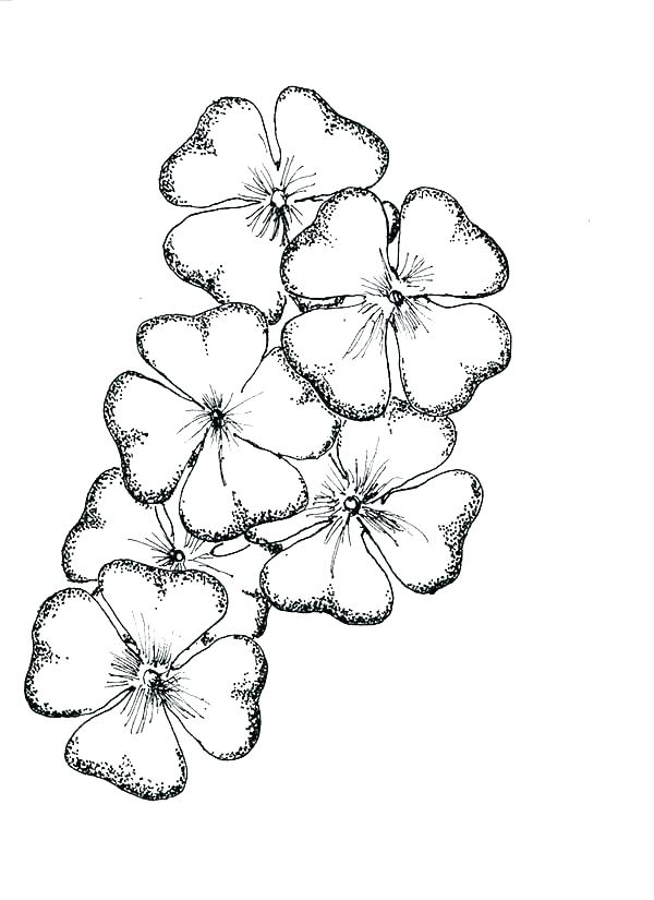 600x825 Four Leaf Clover Coloring Pages