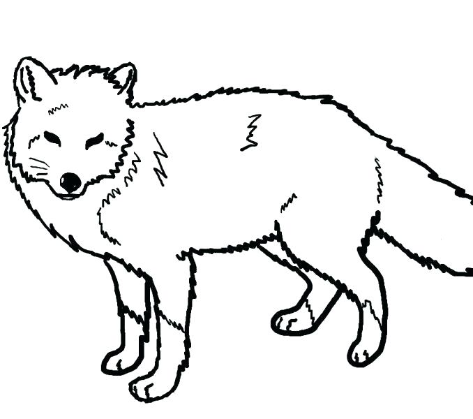 678x600 Cute Fox Coloring Pages Cartoon Wolf Coloring Pages Wolf Coloring