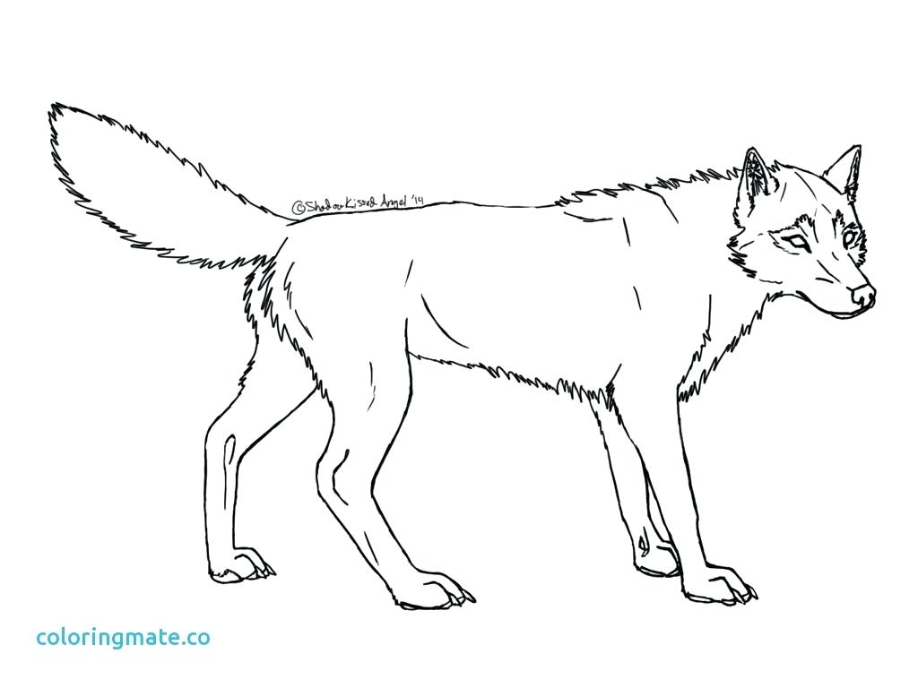 1024x768 Free Printable Wolf Coloring Pages For Kids Animation Page Cartoon