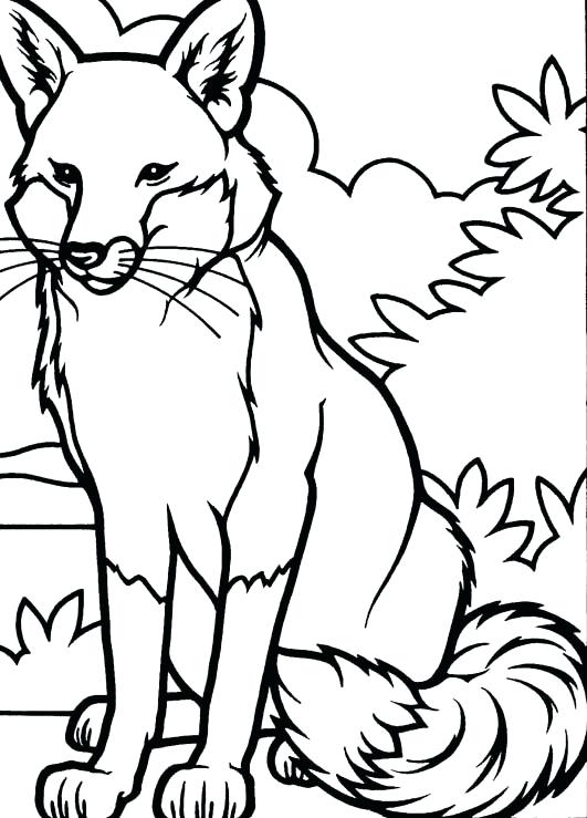 531x739 Fox Coloring Pages Red Fox Coloring Pages Fox Coloring Pages Image