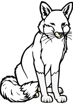 237x336 Coloring Pages Fox Coloring Book
