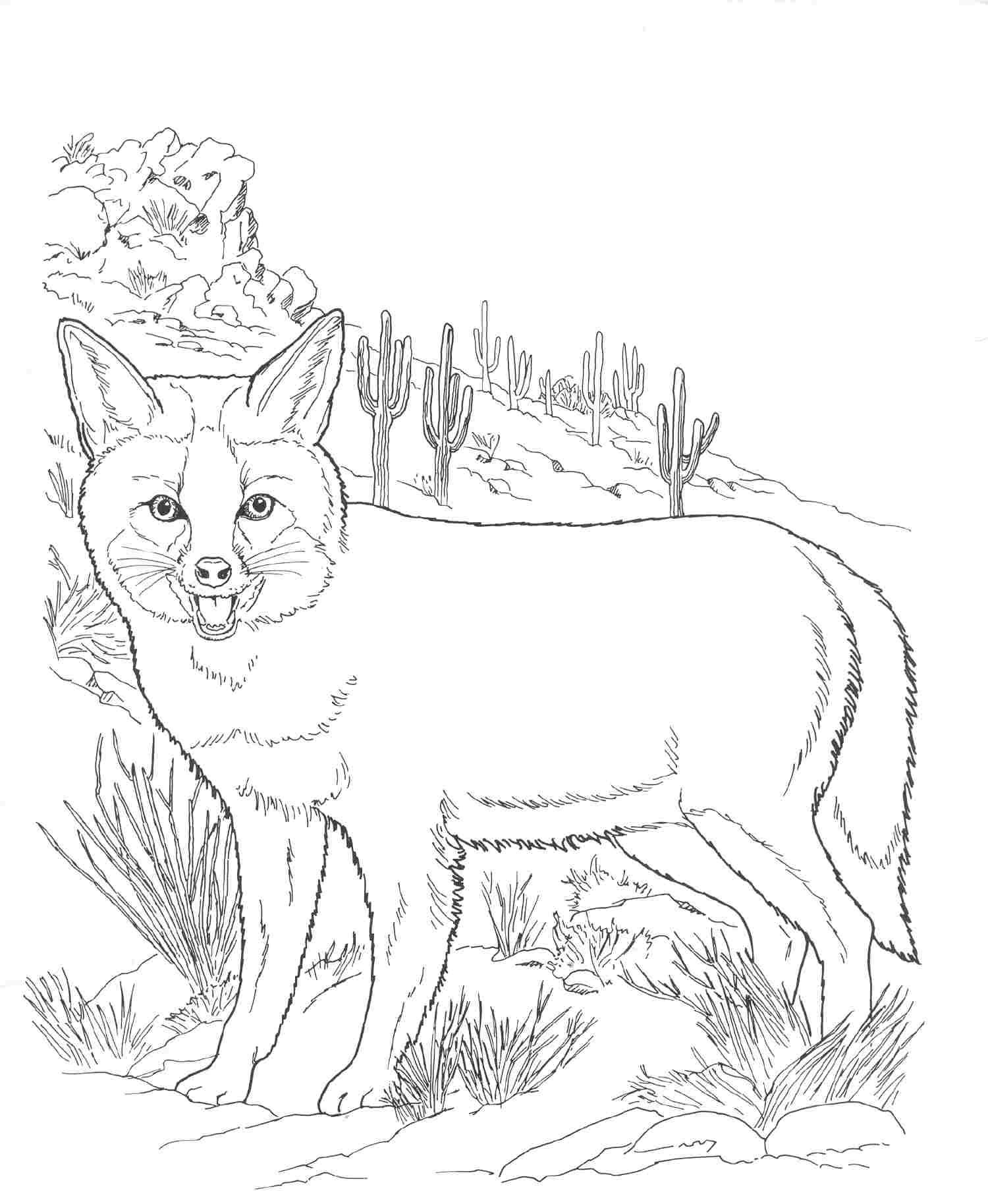 1500x1828 Fox Adult Coloring Pages Within