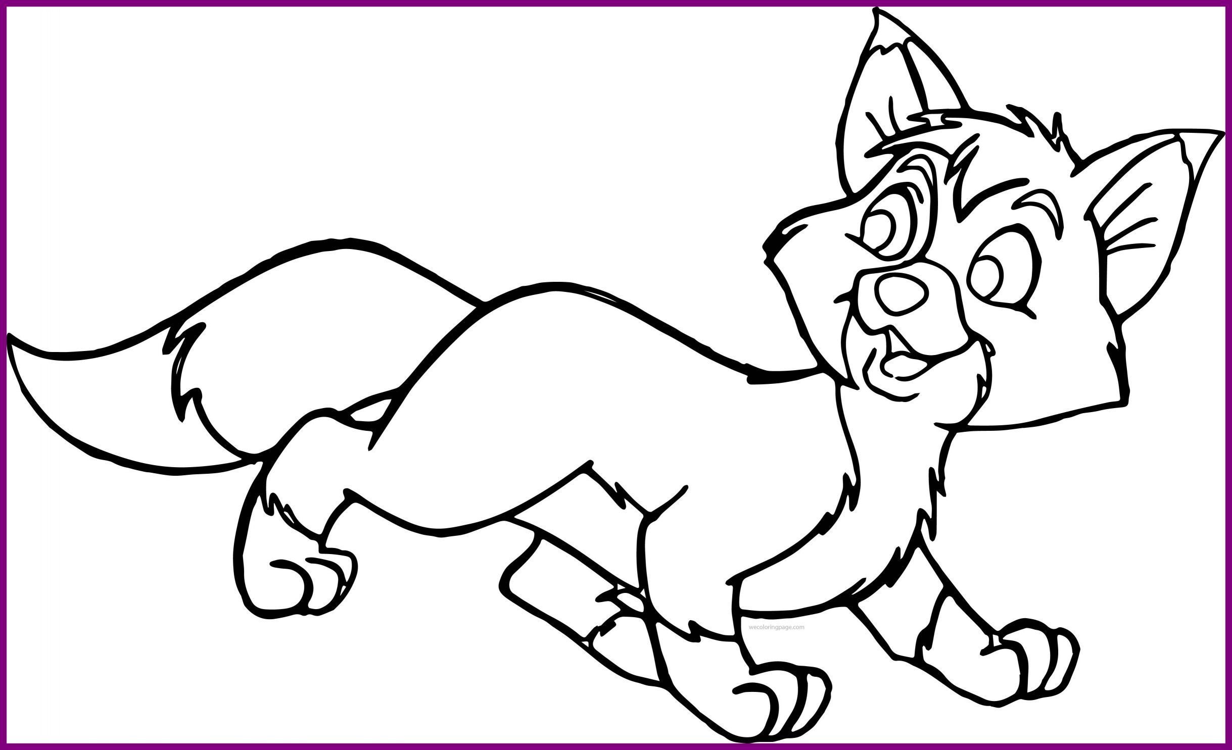 2438x1485 Incredible Opportunities Fox Coloring Pages New Of Foxes