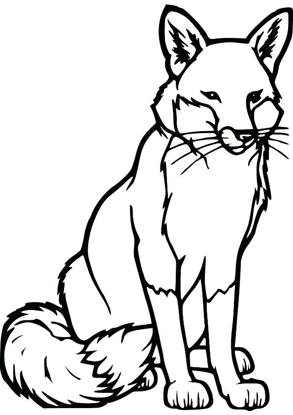 595x842 Fox Coloring Pages