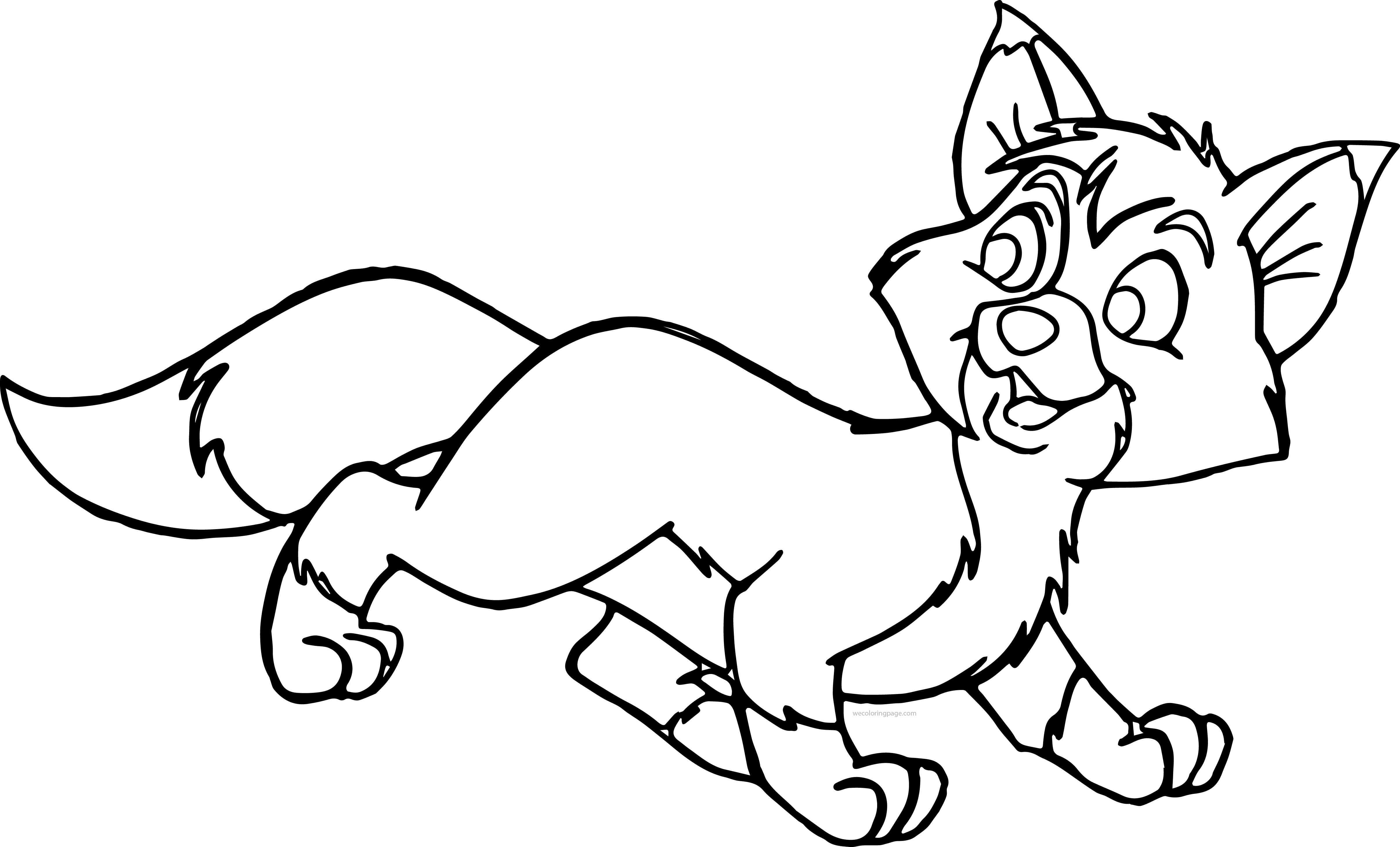 4825x2918 Fox Coloring Pages New Of Foxes