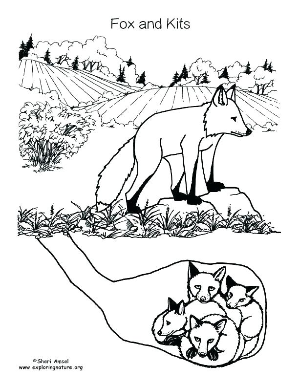 612x792 Childrens Christmas Coloring Pages Free Kids Coloring Red Fox