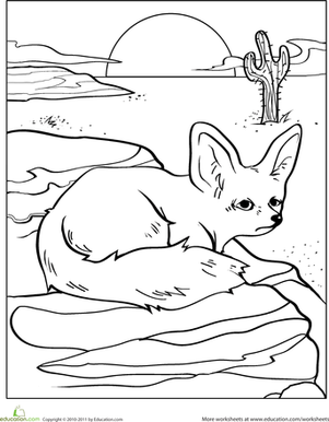 301x386 Color The Desert Fox Worksheet