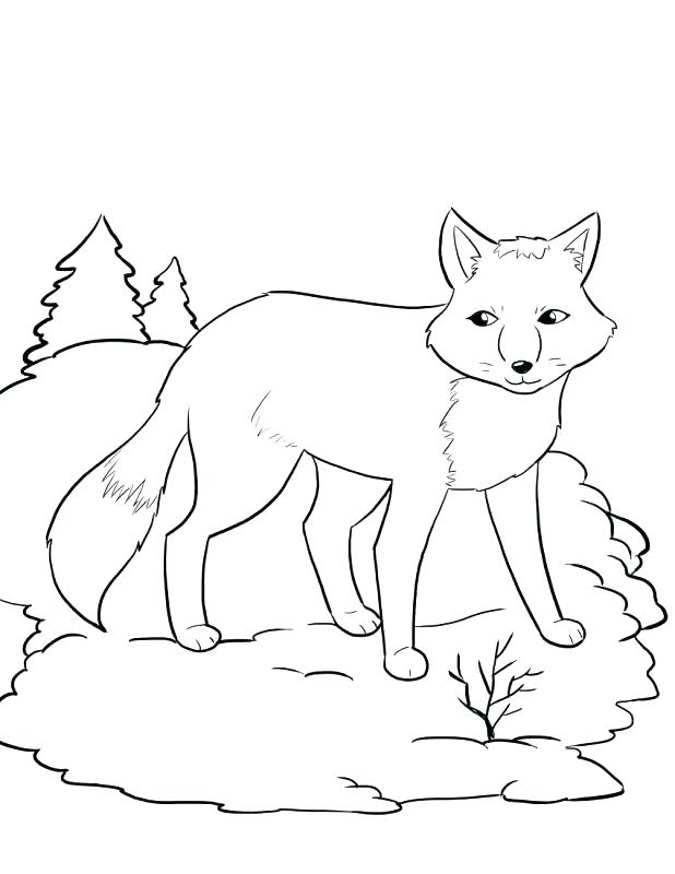 618x800 Fox Socks Coloring Pages Socks Coloring Page Collection Fox