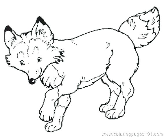 567x476 Mittens Coloring Page Mittens Coloring Pages The Mitten Coloring
