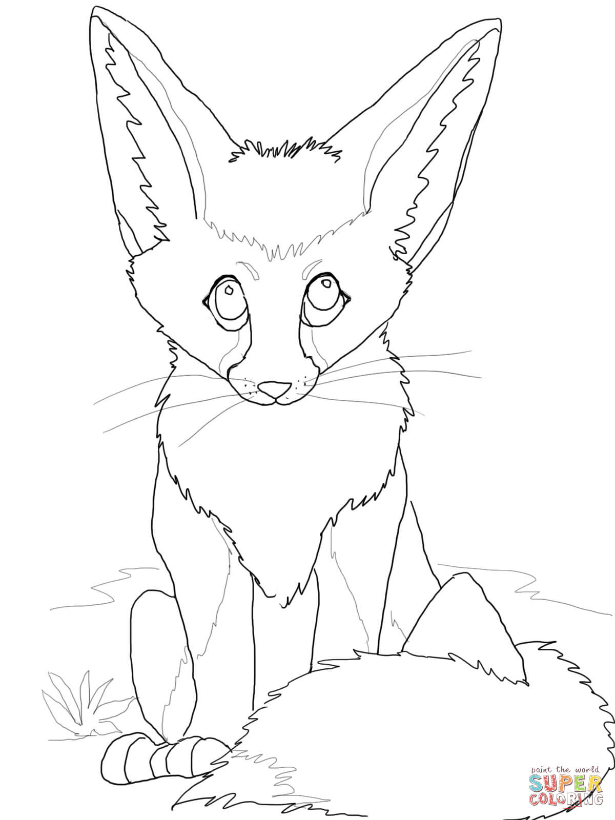 1200x1600 Fennec Fox Coloring Pages Free Coloring Pages