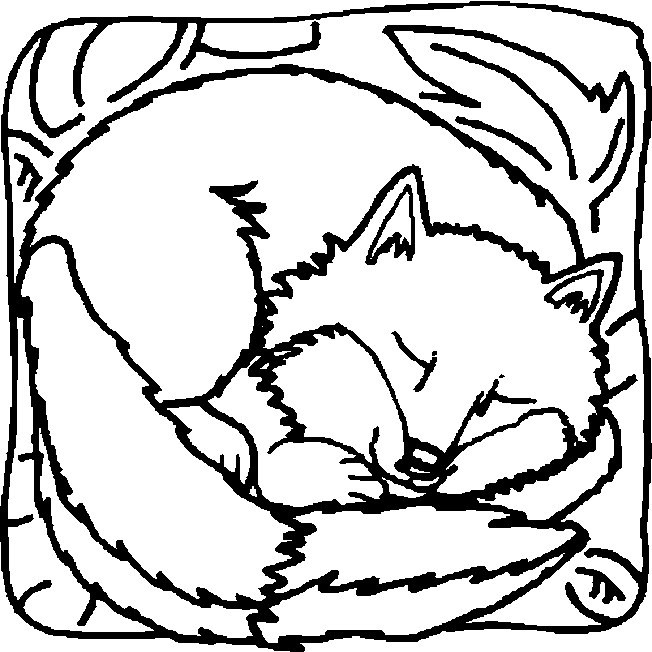 652x652 Sleeping Fox Coloring Page