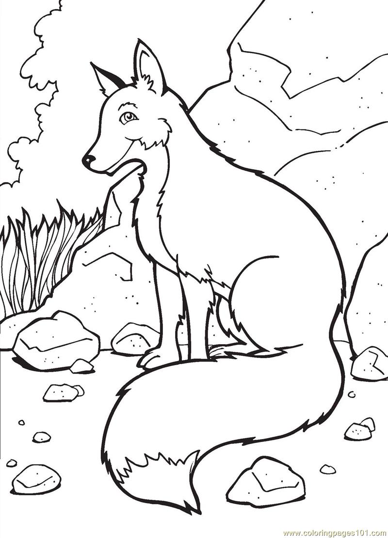 800x1110 Fox Coloring Pages Coloring Pages Fox