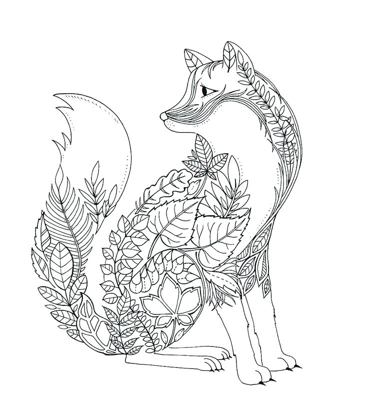 736x833 Arctic Coloring Pages Arctic Coloring Pages Fox Coloring Pages