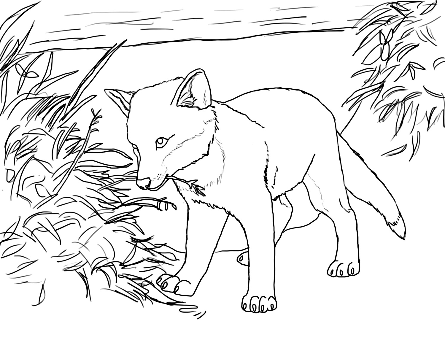 1500x1200 Foxes Coloring Pages Gallery Coloring For Kids