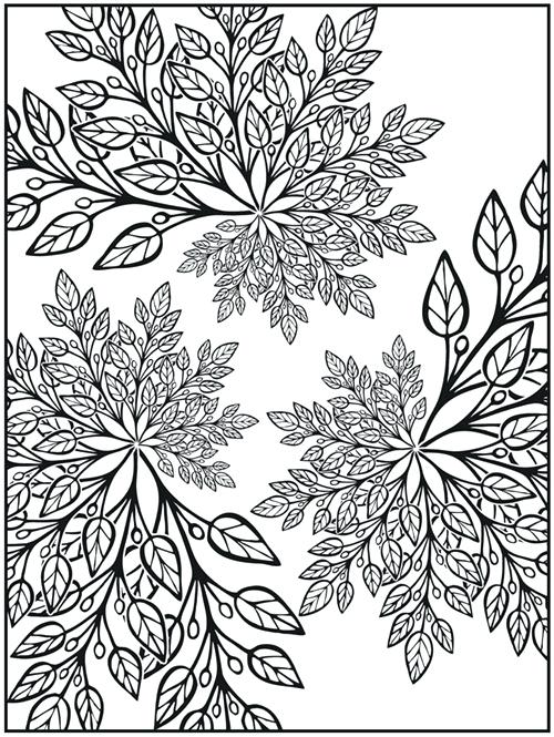 500x665 Fractal Coloring Pages Sampler Creative Haven Nature Fractals