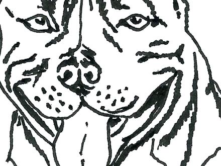 440x330 Coloring Frederick Douglass Coloring Page Basketball Color Pages