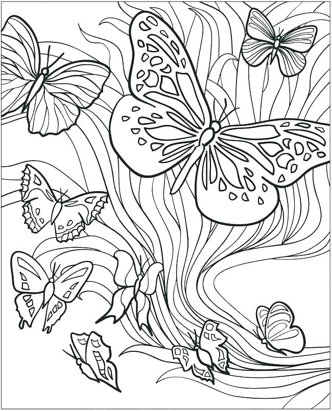 650x806 Butterfly Coloring Pages For Adults Printable Butterfly Coloring