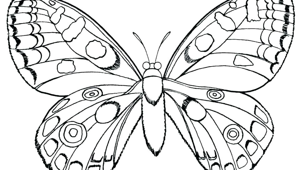 960x544 Butterfly Coloring Pages Free Printable Butterfly Coloring Pages