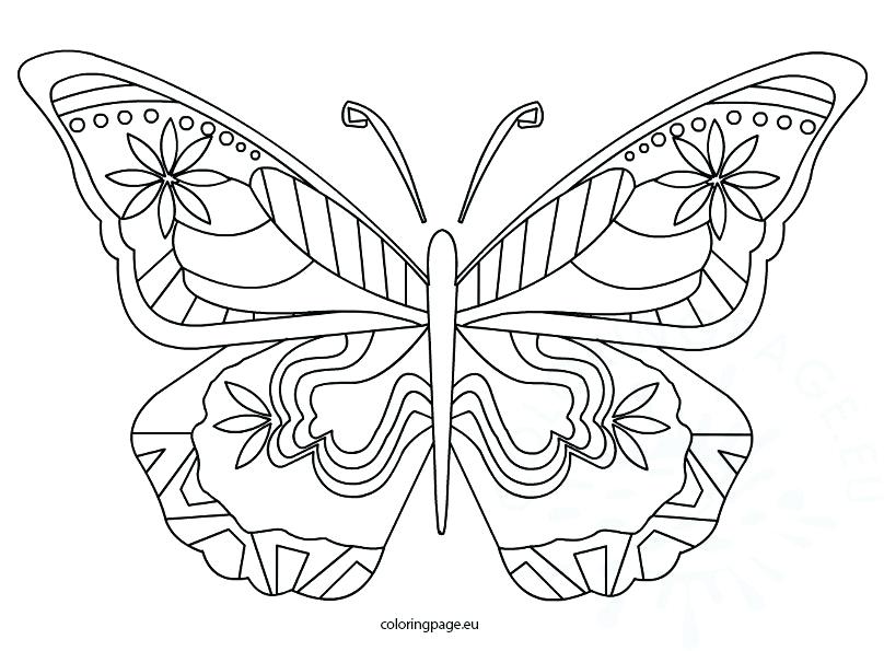 808x595 Free Downloadable Butterfly Coloring Pages Beautiful For Preschool