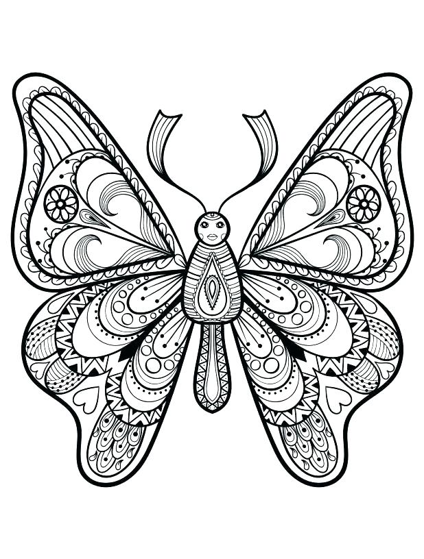 618x816 Butterfly Coloring Pages Free