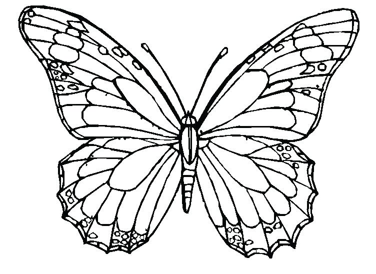 752x548 Butterflies Coloring Pages Butterfly Coloring Pages For Adults