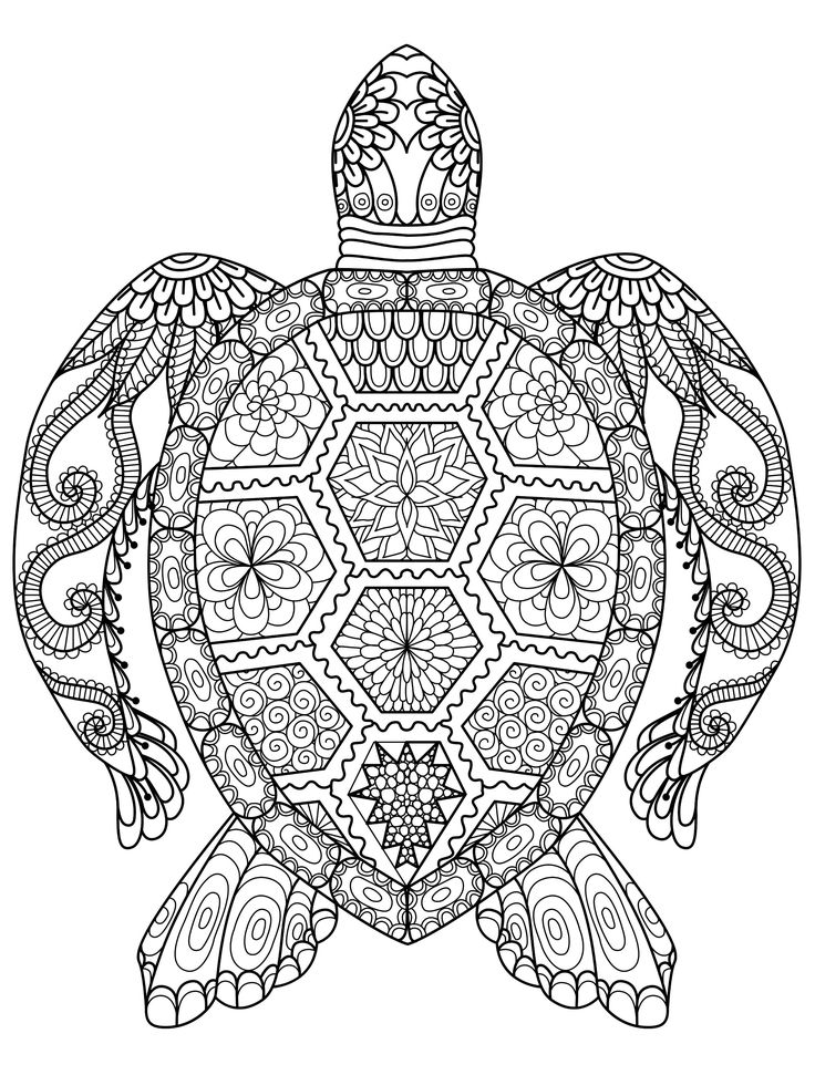 736x971 Adult Coloring Page Best Adult Coloring Pages Ideas