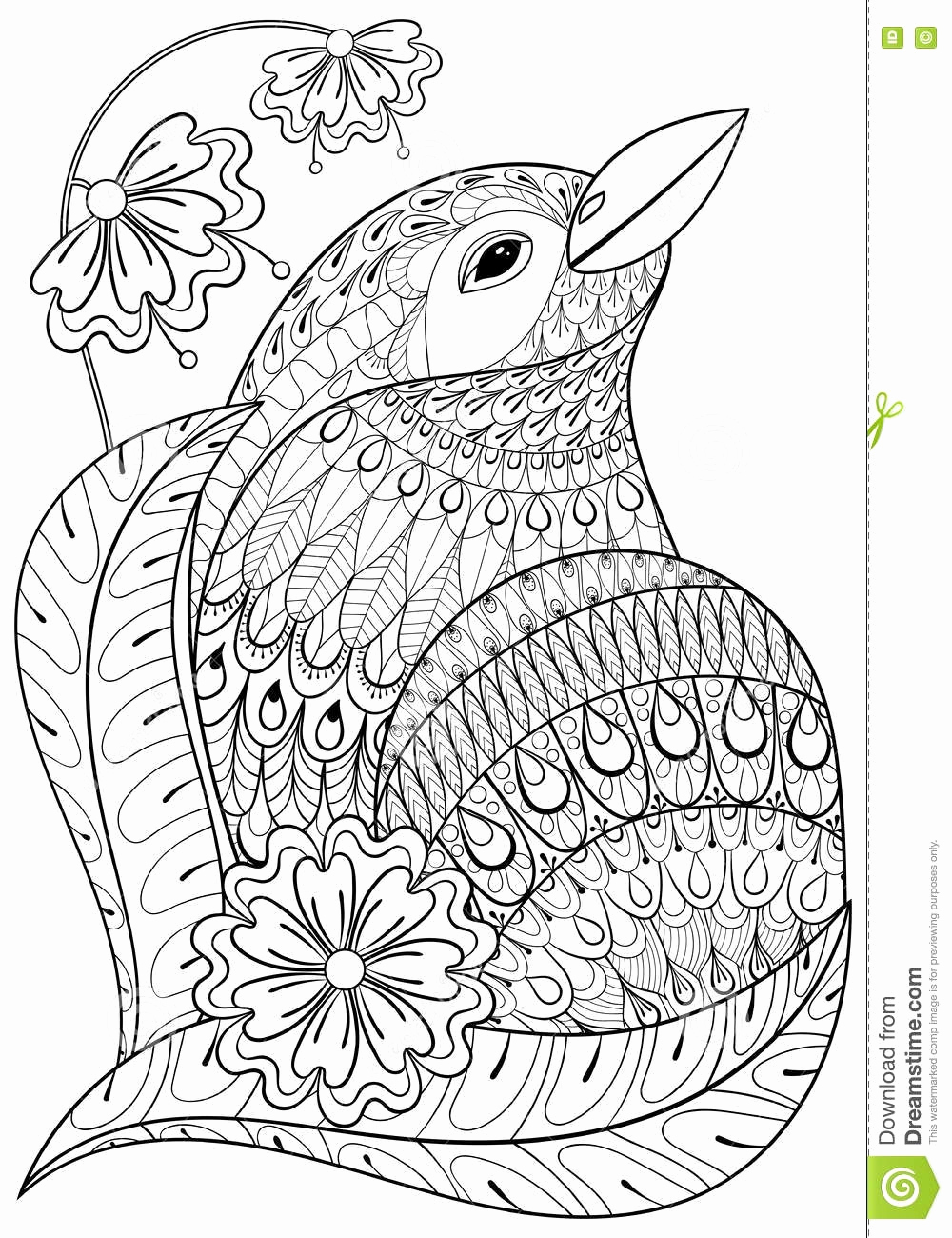 1000x1300 Exotic Animals Adult Coloring Pages Free Adult Coloring Pages