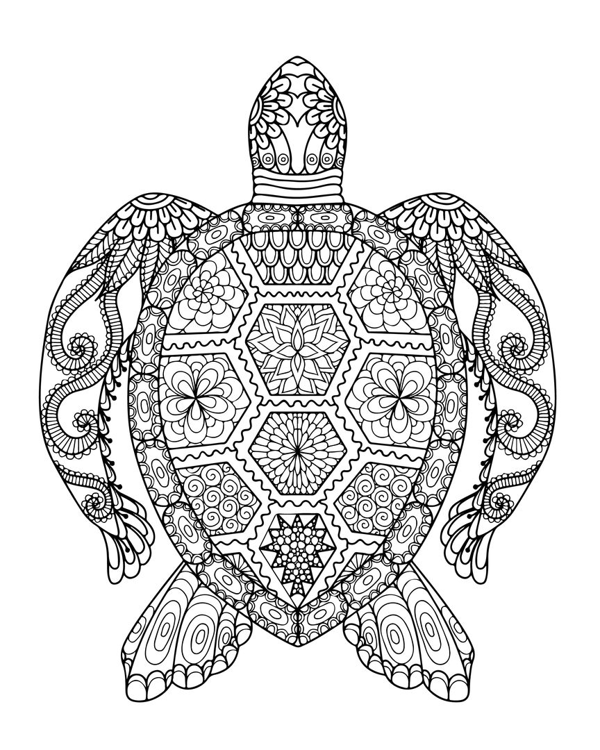 864x1080 Adult Coloring Pages Animals Turtle Free