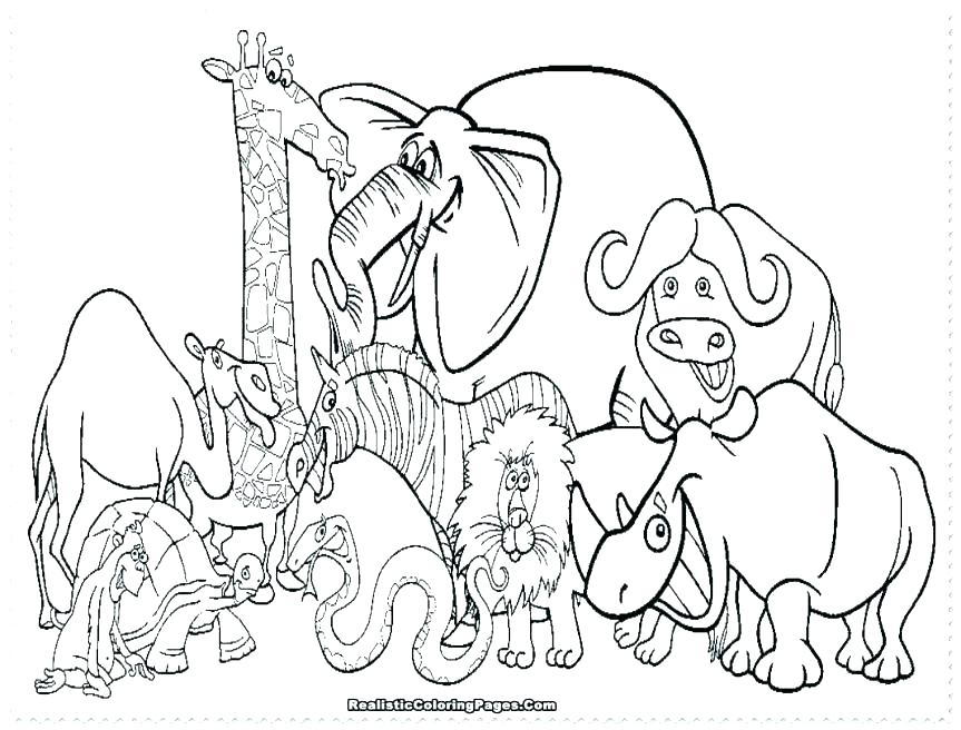863x656 Printable Animal Coloring Pages For Adults