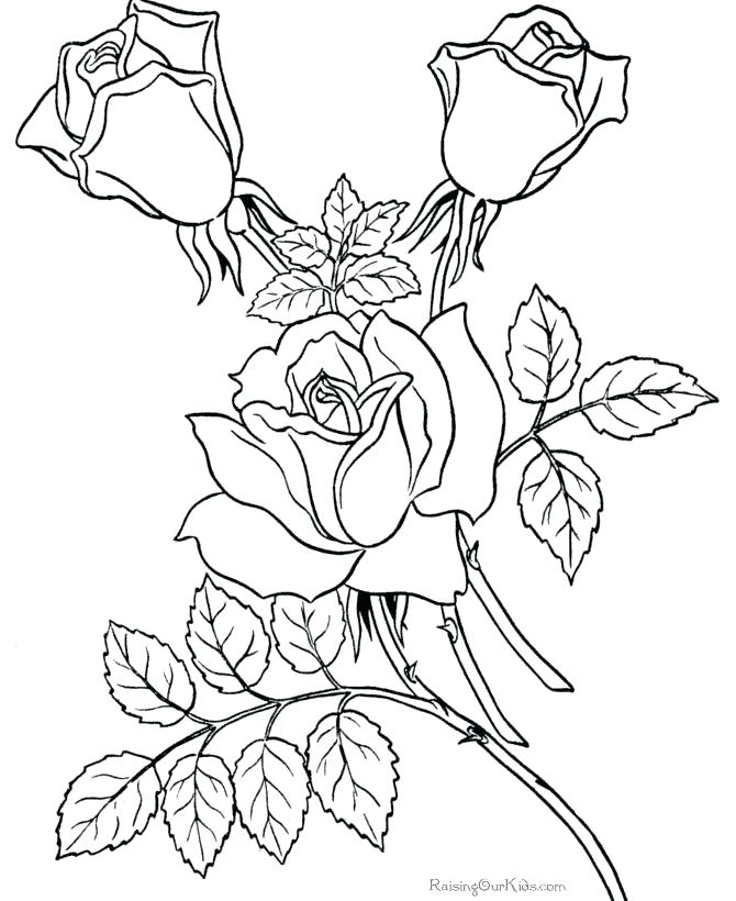 670x820 Coloring Book Pages Flowers Coloring Archives Page Of Free Adult