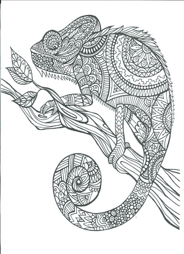 600x825 Printable Adult Coloring Book And Coloring Book Pages Printable